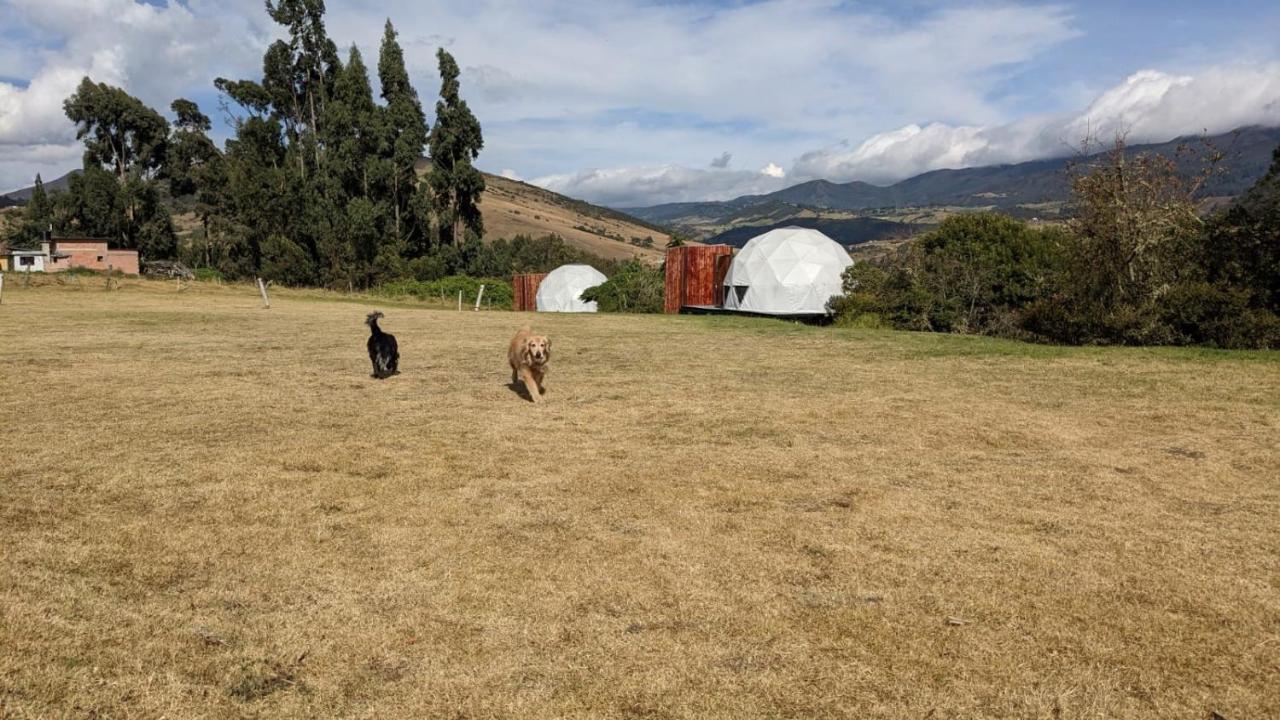 La Meca Glamping Campsite