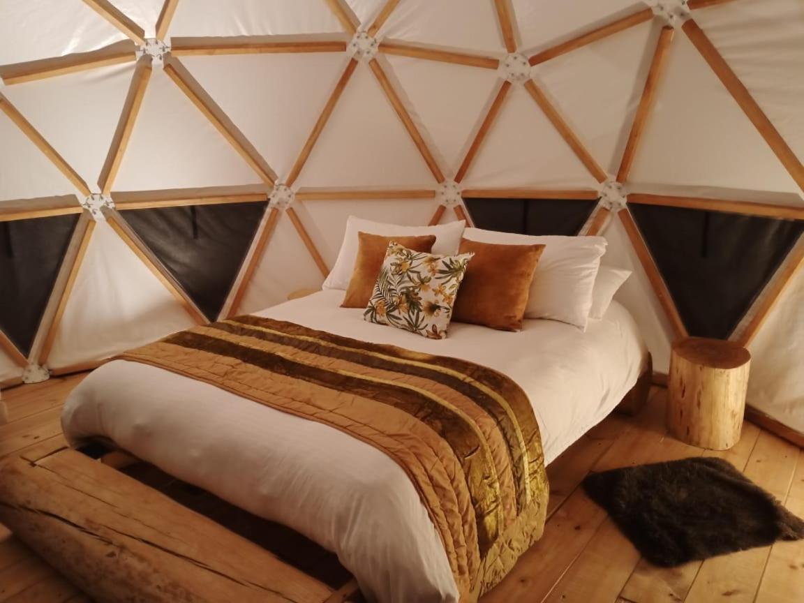 La Meca Glamping 3*